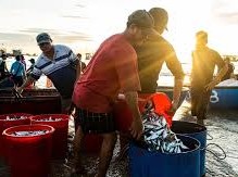 Image: Bustling Fish Market in Southern Da Nang at Dawn