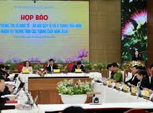 Image: Dalat Flower Festival Set for December