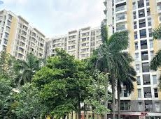 Image: Residents in Apartments Uninformed About Land Tax Payments