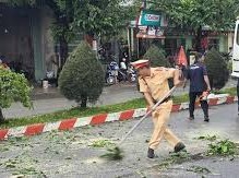Image: Traffic Police Clear Fallen Trees to Ensure Safe Passage for Citizens