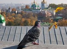 Image: Ukraine to Experience Hottest Day of October