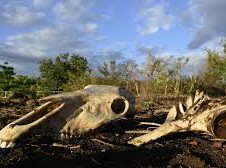 Image: UN Warns of Intensifying El Niño Before December Peak