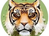 Image: Zodiac Predictions for October 10: Snake Gains Respect, Goat Receives Support