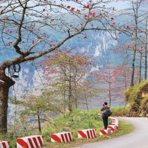 Image: Roads are to be noticed when coming to Ha Giang