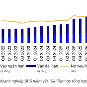 Image: Real Estate Companies' Debt Levels Surge in Vietnam