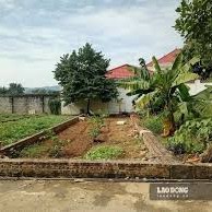 Image: Significant Decline in Land Prices Across Various Regions