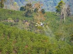 Image: Dien Bien to Test 6,000 Drone Flights for Economic Development