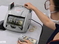 Image: Vietnam's Central Exchange Rate Hits Record High as USD Drops