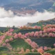 Image: Top New Year experiences to be noticed in Sa Pa, Vietnam