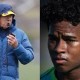 Image: Carlo Ancelotti Faces Criticism Over Endrick's Absence in Brazil's Lineup