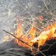 Image: Couple Dies in Forest Fire in Ha Tinh Province