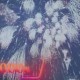 Image: DIFF 2026: Fireworks Synchronize with Music Using Advanced Technology