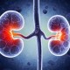 Image: 26-Year-Old Faces Kidney Failure: 5 Harmful Habits to Avoid