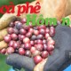 Image: Coffee Prices Drop Slightly in Vietnam on July 14