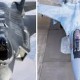 Image: Comparing the Air Power of Russia and the U.S. in 2026