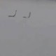 Image: Frightening Sight: Snakes Escape Flooded Farm in China