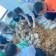 Image: Hiệp Phước Agricultural Council Enhances Workforce Training