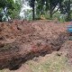 Image: New Mass Grave of Fallen Soldiers Discovered at Le Thi Rieng Park