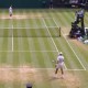 Image: Novak Djokovic Faces Disqualification Scare at Wimbledon