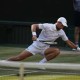 Image: Novak Djokovic's Wimbledon Journey: Blessing and Curse