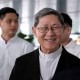 Image: Pope's Envoy Leads Beatification Ceremony in Vietnam