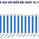 Image: Pork Prices Continue to Drop in Vietnam