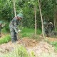 Image: Search for Remains of 93 Soldiers in Quang Tri Province