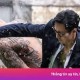 Image: So Ji Sub's 'Agent Kim Reactivated' Surges in Popularity