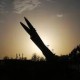 Image: Ukraine Strikes Iranian Cargo Ship in Caspian Sea