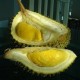 Image: Why Durian Prices Have Plummeted in Singapore and Malaysia