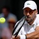 Image: Wimbledon Semi-Finals: Sinner to Face Zverev in Final