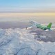 Image: Bamboo Airways Faces Major Fleet Reduction, Now Operates One Plane