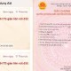 Image: Digital Land Use Certificates Now Visible on VNeID