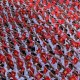 Image: From Independence Autumn to Aspiration for Greatness