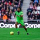 Image: Fulham Prepares for Key Match Against Sunderland