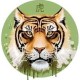 Image: Horoscope for August 12: Rat Adjusts Views, Dragon Changes Plans