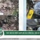 Image: Human Skeleton Discovered in Dong Nai Garden
