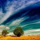 Image: Intensification of El Niño Expected to Impact Global Climate Patterns