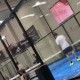 Image: Lisandro Martínez Joins Julián Álvarez and Enzo Fernández in Padel Match