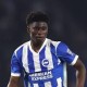 Image: Manchester United and Brighton Near Deal for Carlos Baleba