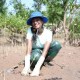 Image: Miss World 2026 Contestant Plants Trees in Mangrove Forest