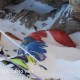 Image: Recovery of 'Green Boots' Body from Everest After 30 Years