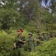 Image: Security Forces Enhance Patrols Ahead of National Day