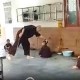 Image: Serious Misidentification of Monk in Child Abuse Case