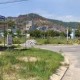 Image: Surprising Developments in Da Nang's Land Market