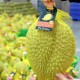 Image: Traceability System for Durian from Farm to Export