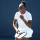Image: Venus Williams Set to Face Sofia Kenin in US Open Opener