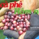 Image: Vietnam Coffee Prices Rise by 1,000 VND/kg on August 25
