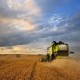 Image: Chicago Wheat Contracts Decline Amid Ceasefire Hopes in Black Sea