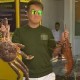 Image: Famous Singer Dam Vinh Hung Ventures into Seafood Business